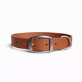 A collar with their dog's name. The one accessory they don't have.
