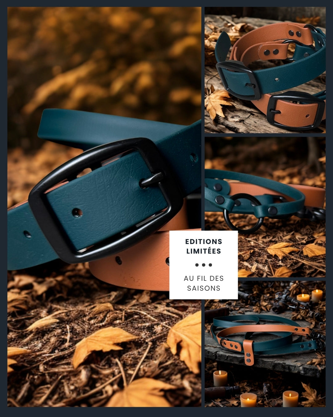 Éditions limités - Ensembles saisonniers