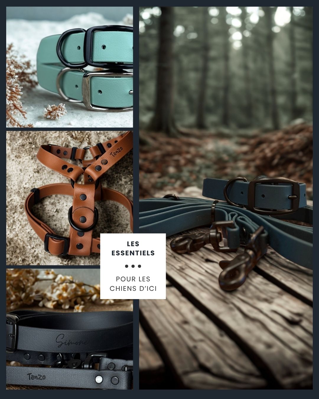 Les Essentiels - Pour les chiens d'ici