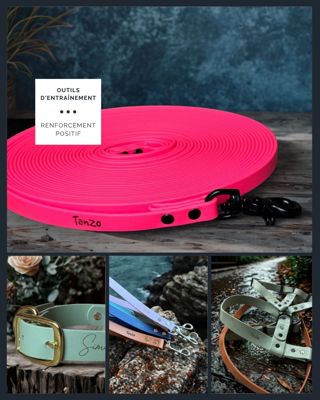 Outils d’entraînement — Renforcement positif & bienveillance