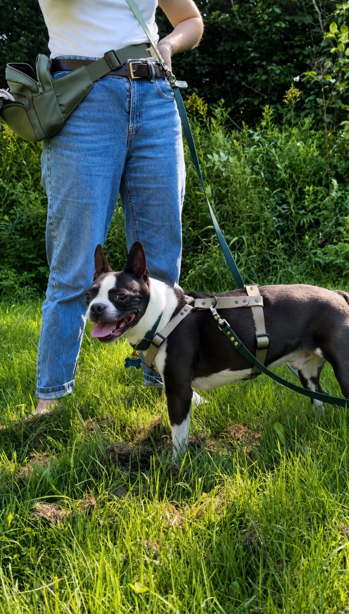 Adjustable Biothane Dog Harness