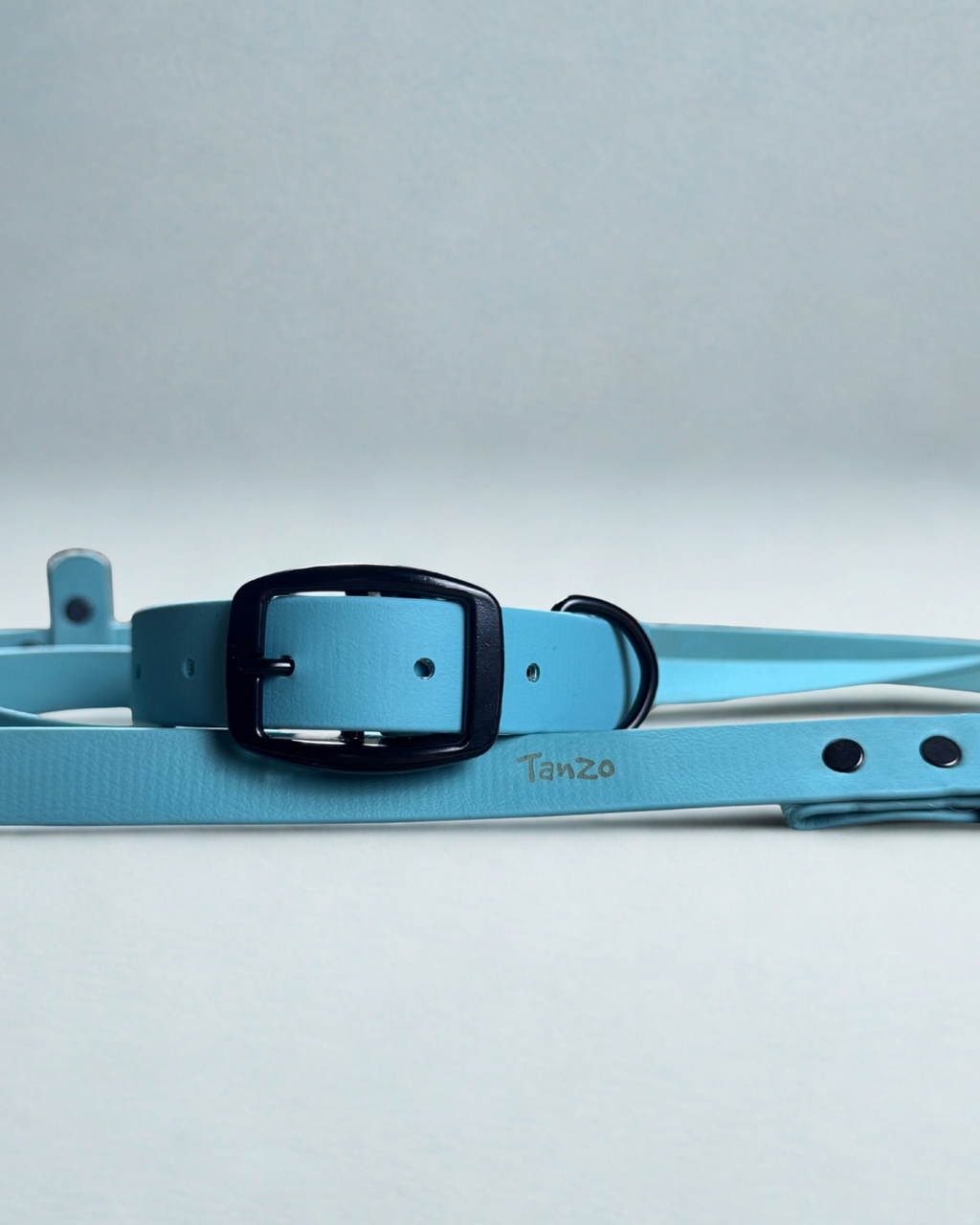 Ensemble collier et laisse