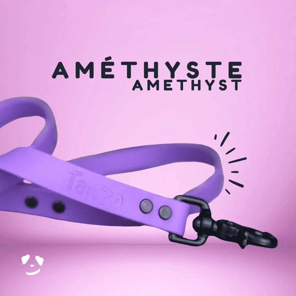 Amethyst biothane dog leash | Laisse en biothane améthyste. meilleure laisse en biothane au canada. 