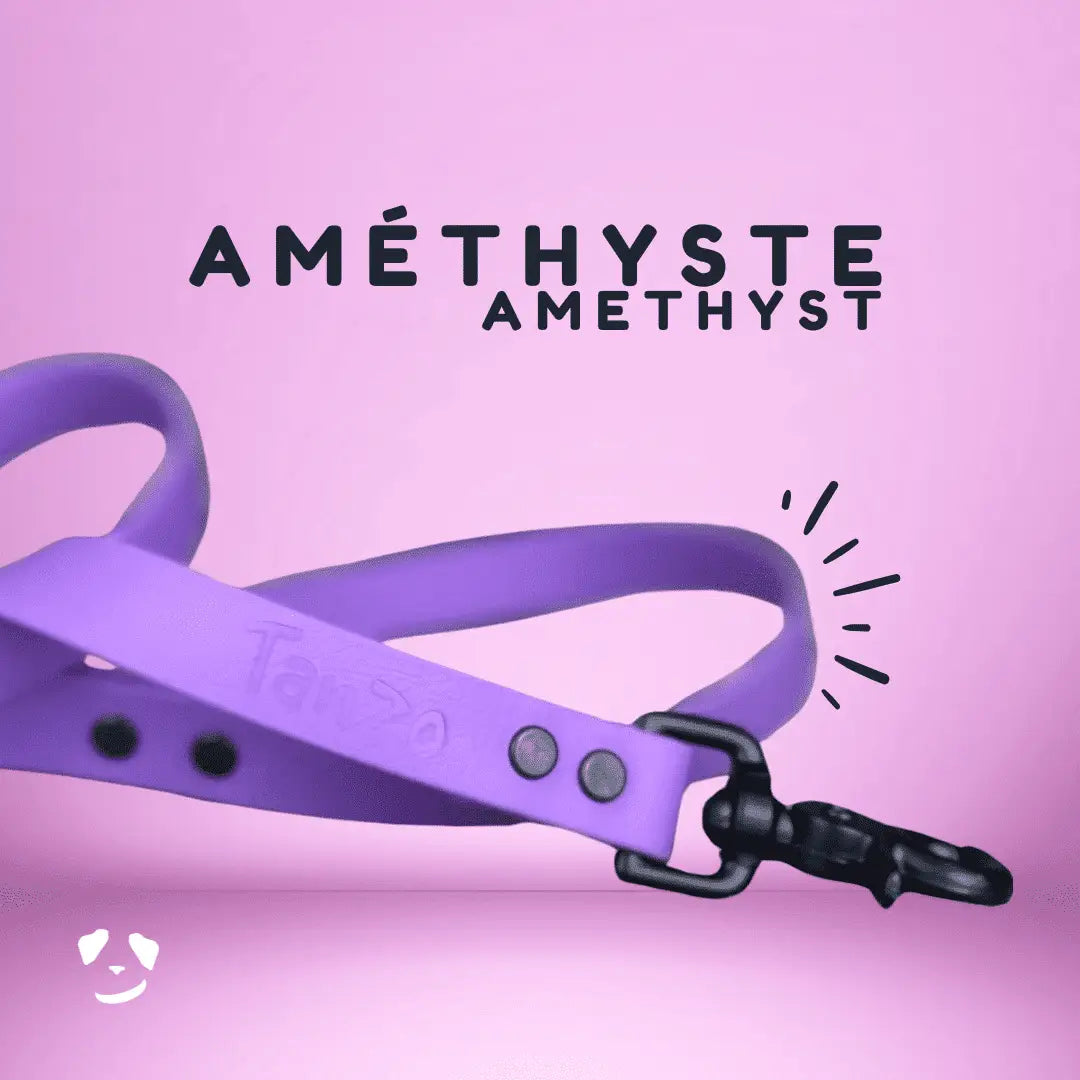 Amethyst biothane dog leash | Laisse en biothane améthyste. meilleure laisse en biothane au canada. 