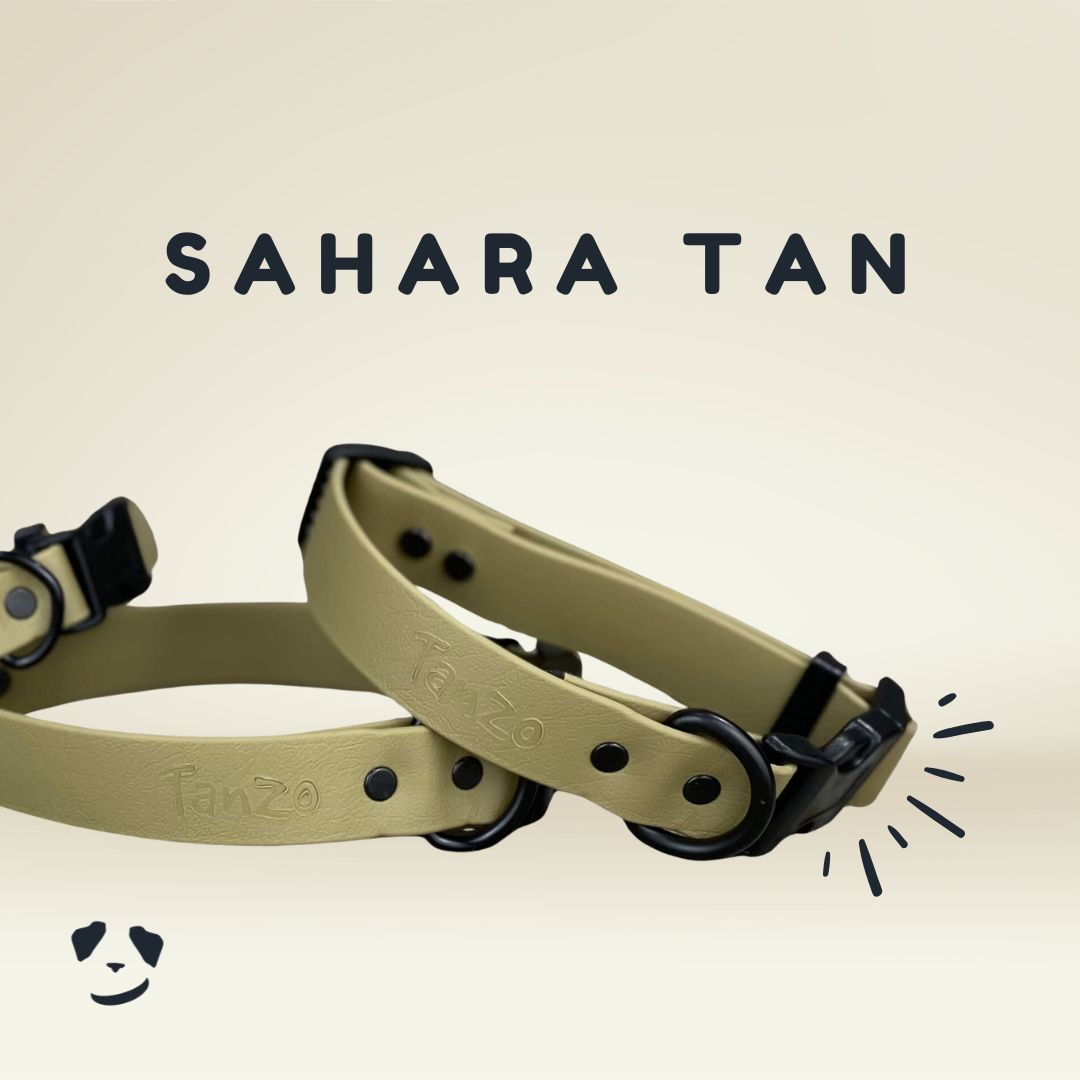 Collier ajustable à clip