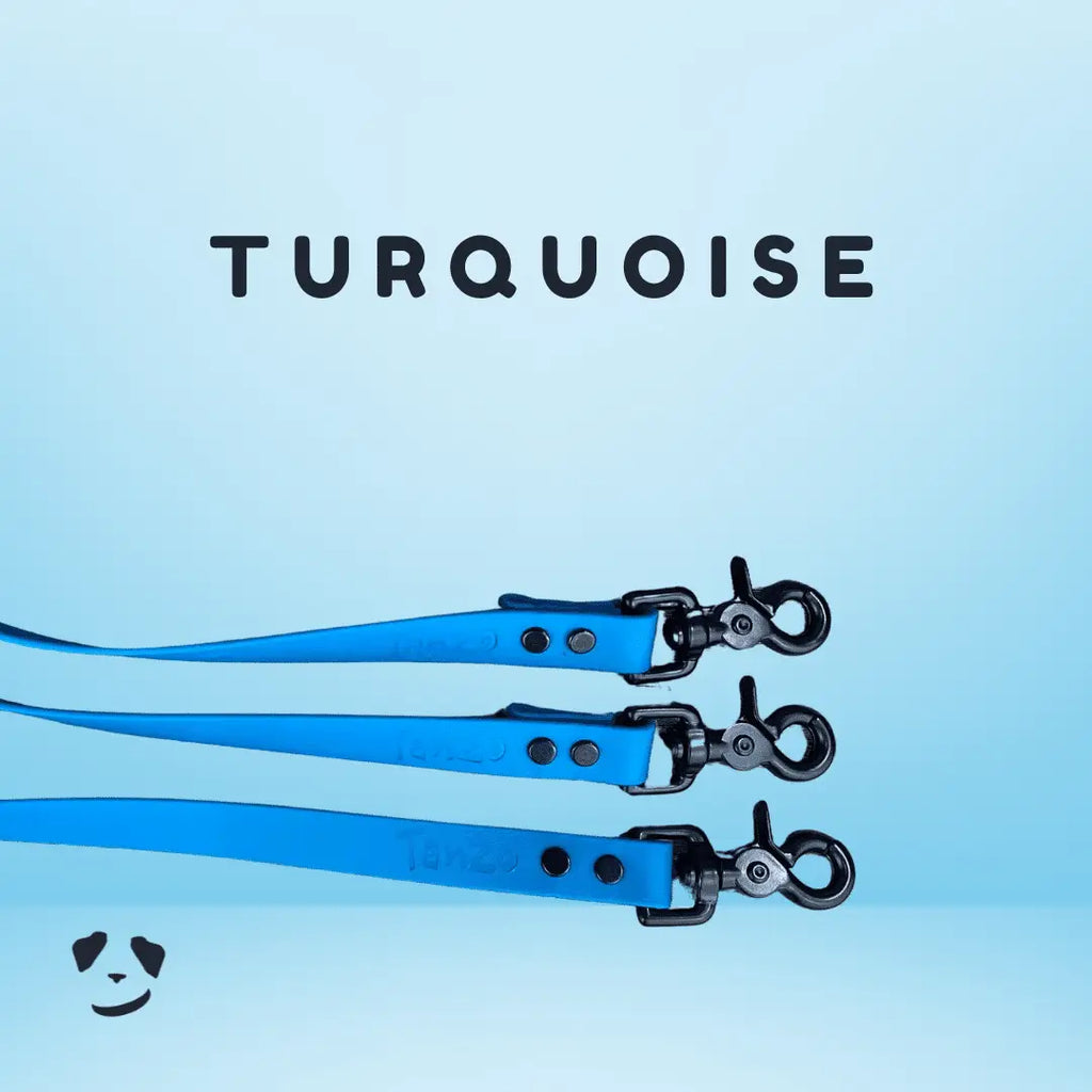 Turquoise biothane dog leash | Laisse en biothane Turquoise. Meilleure laisse pour chien en biothane au canada