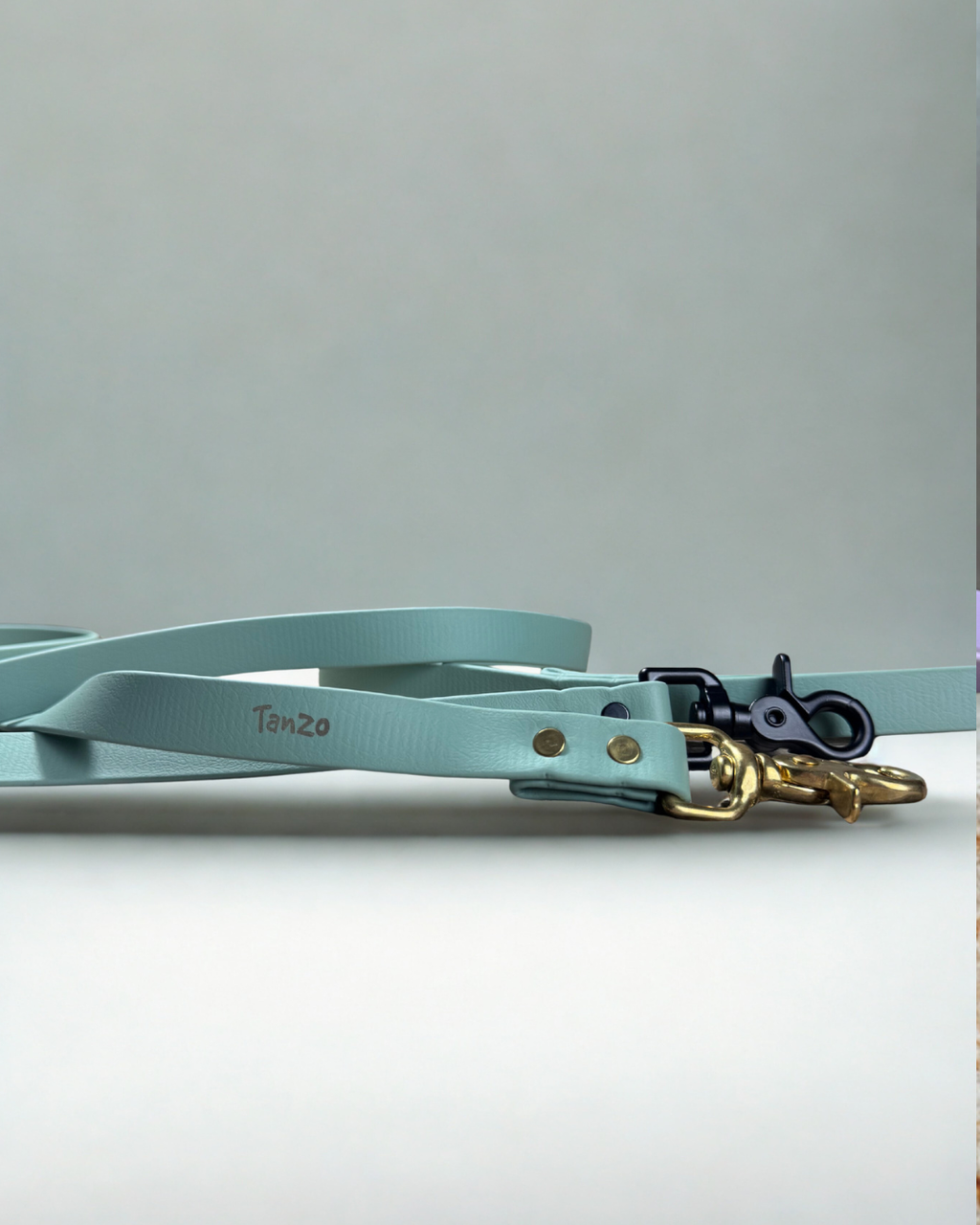 Laisse pour chien en biothane