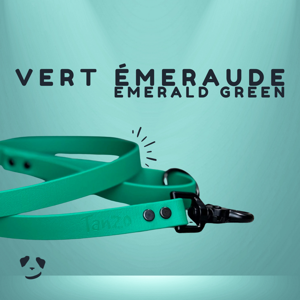 Laisse 4 pieds en biothane  - Hors-Sentiers