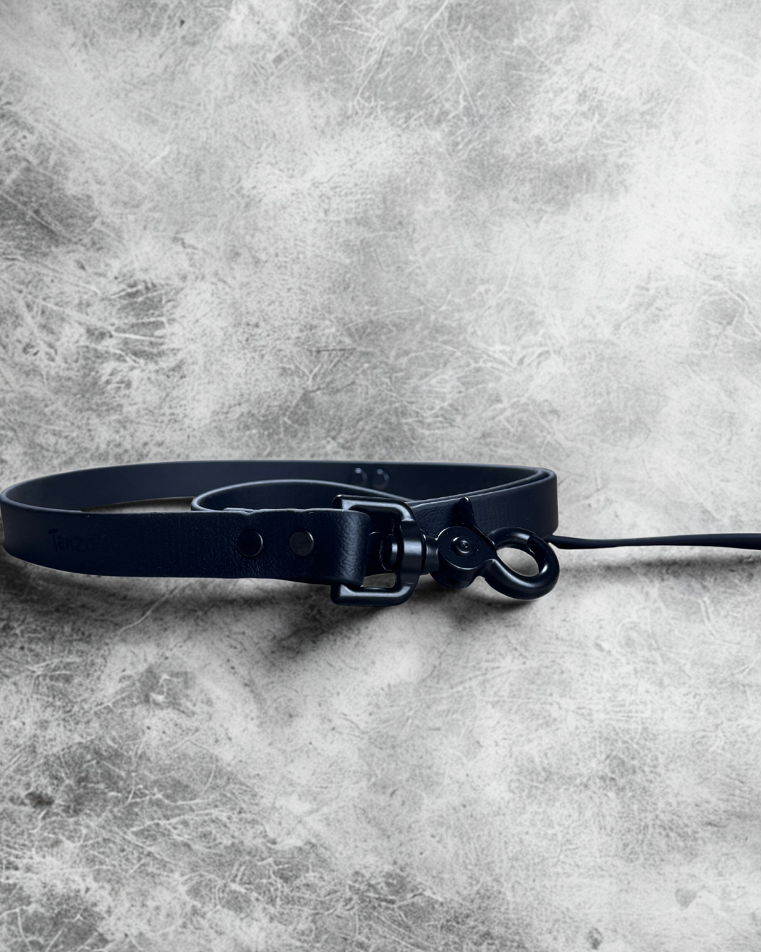 Laisse pour chien en biothane