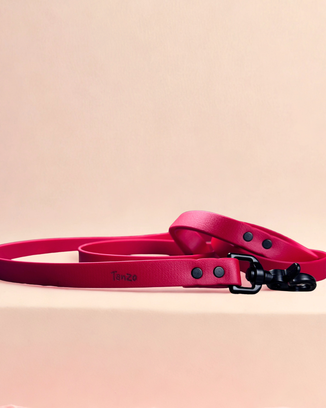 Laisse pour chien en biothane