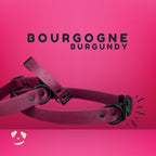 Collier ajustable à clip