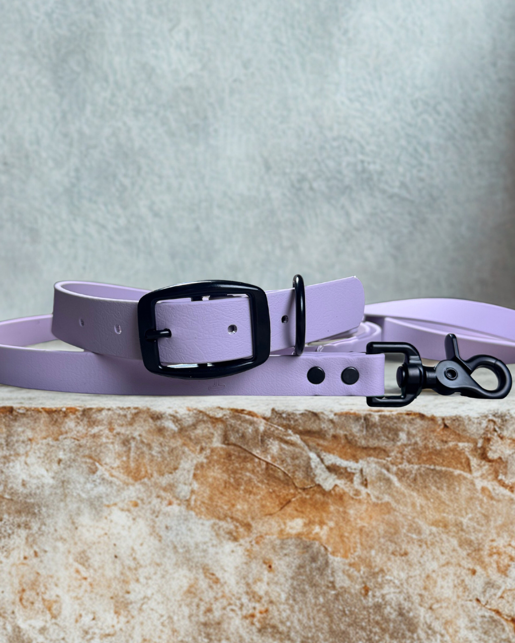 Ensemble collier et laisse