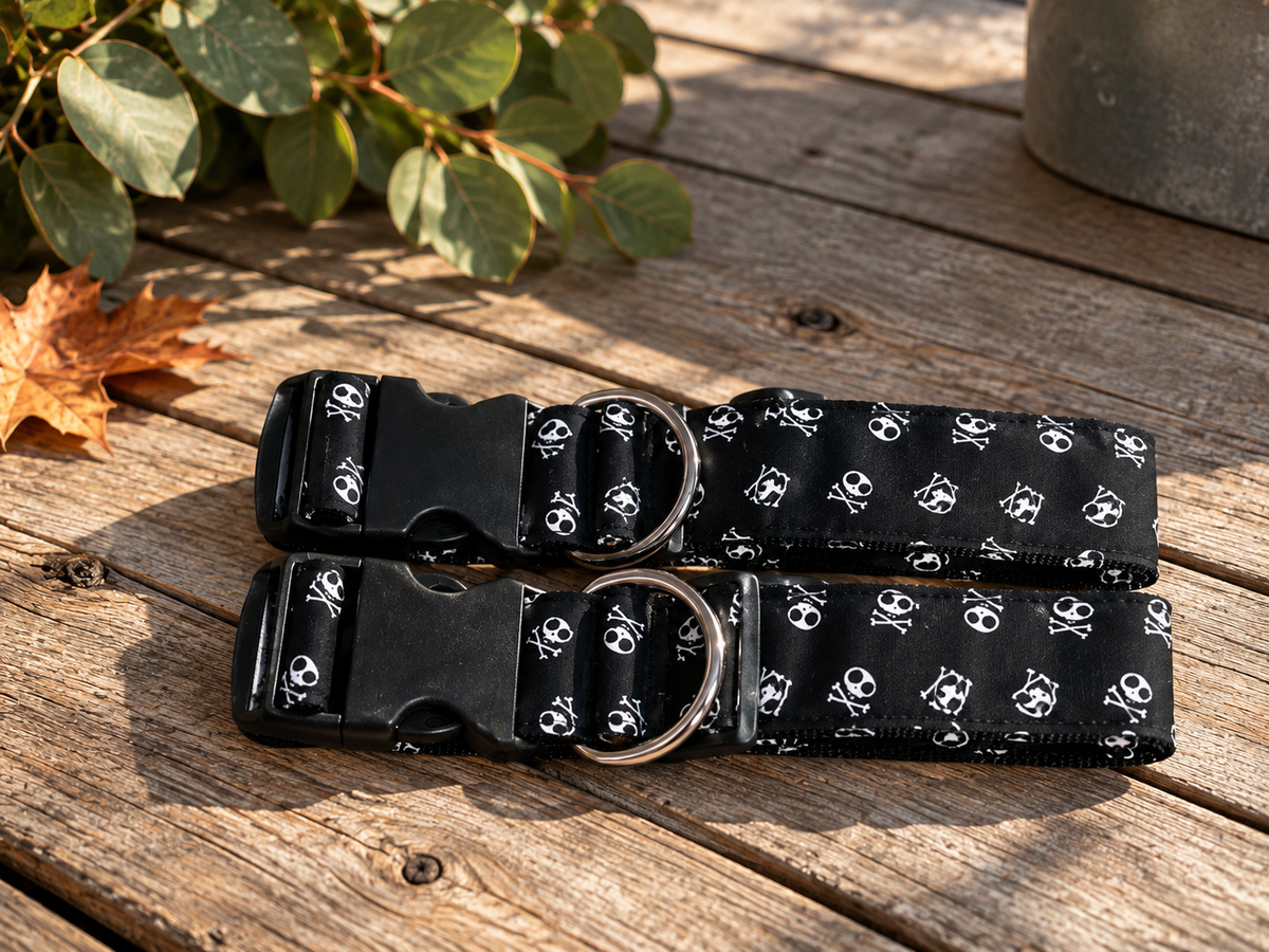 Skull Dog Collar | Handmade in Canada