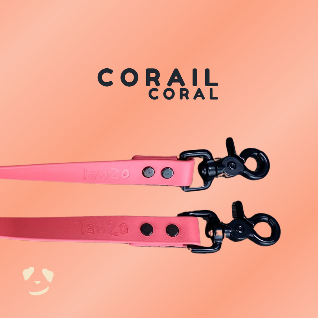 Longe 20 pieds - Hors-Sentiers