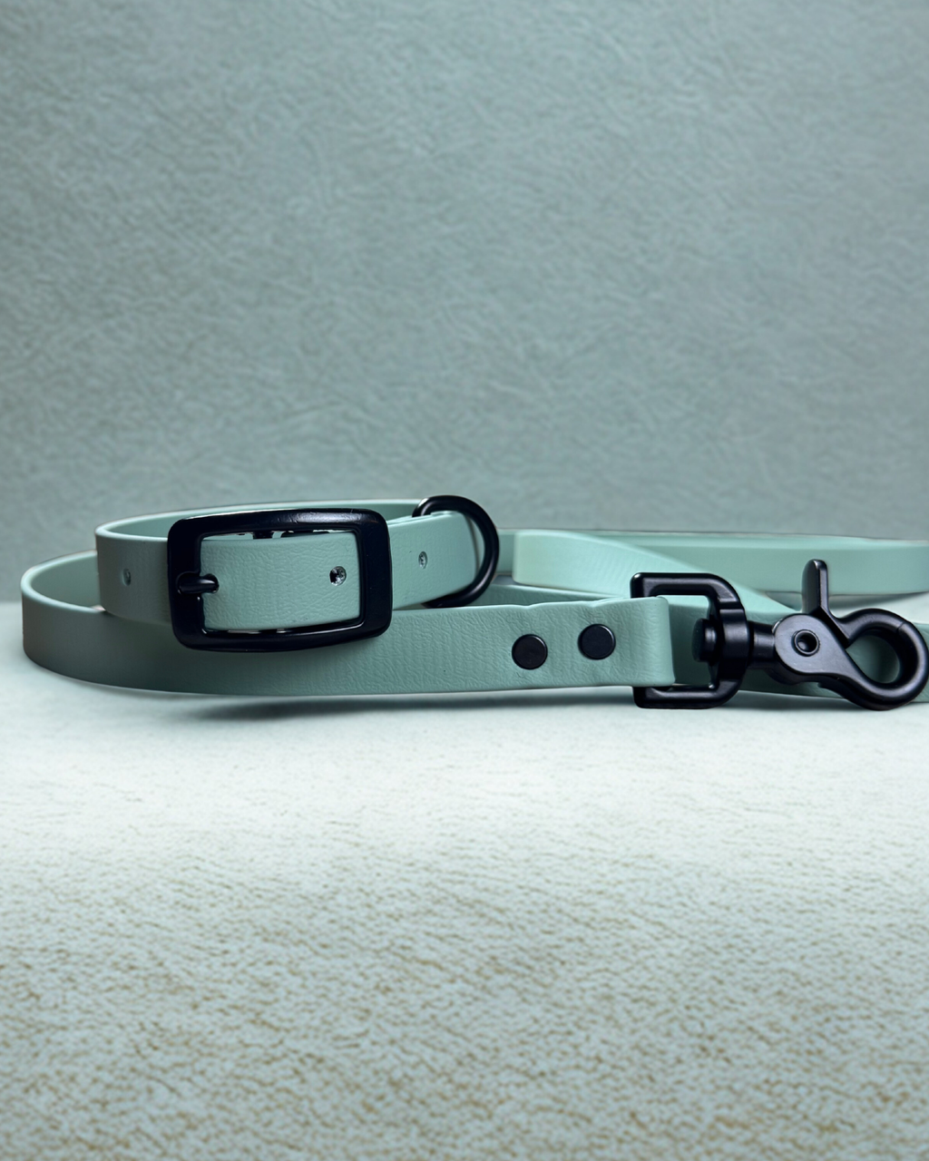 Ensemble collier et laisse