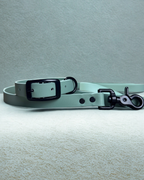 Ensemble collier et laisse