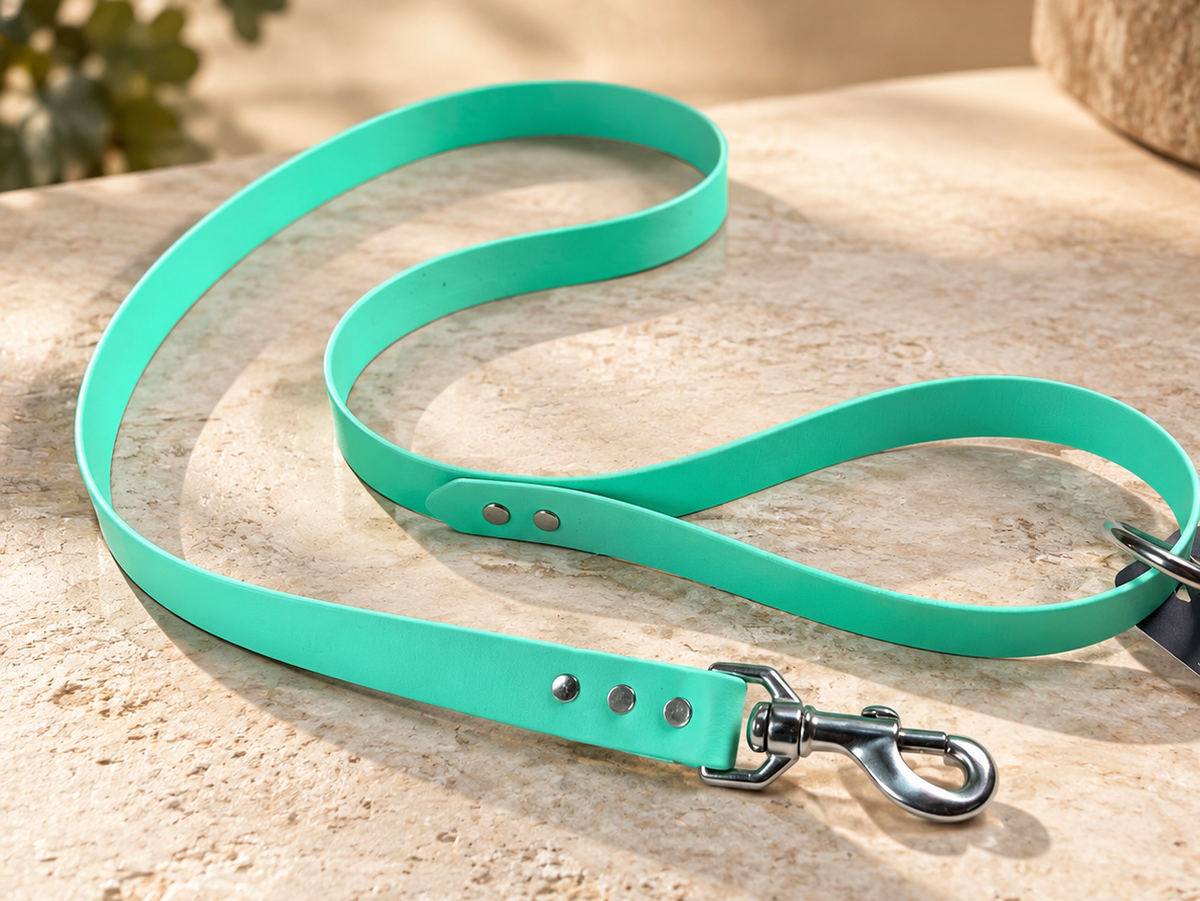 Laisse pour chien en biothane 1 pouce