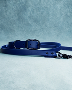 Ensemble collier et laisse