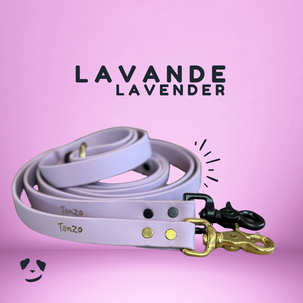 Longe de Rappel - Hors-Sentiers