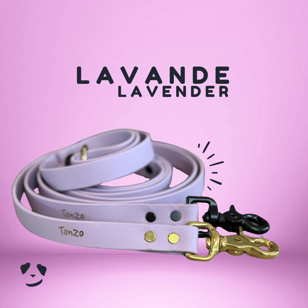 Longe de Rappel - Hors-Sentiers