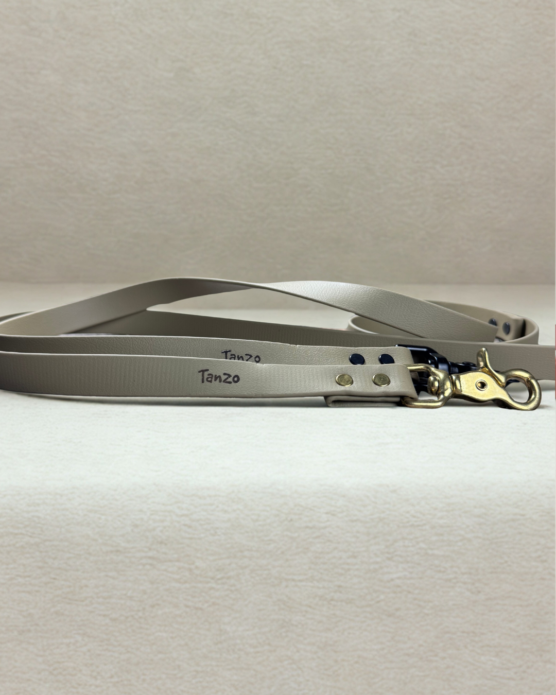 Laisse pour chien en biothane