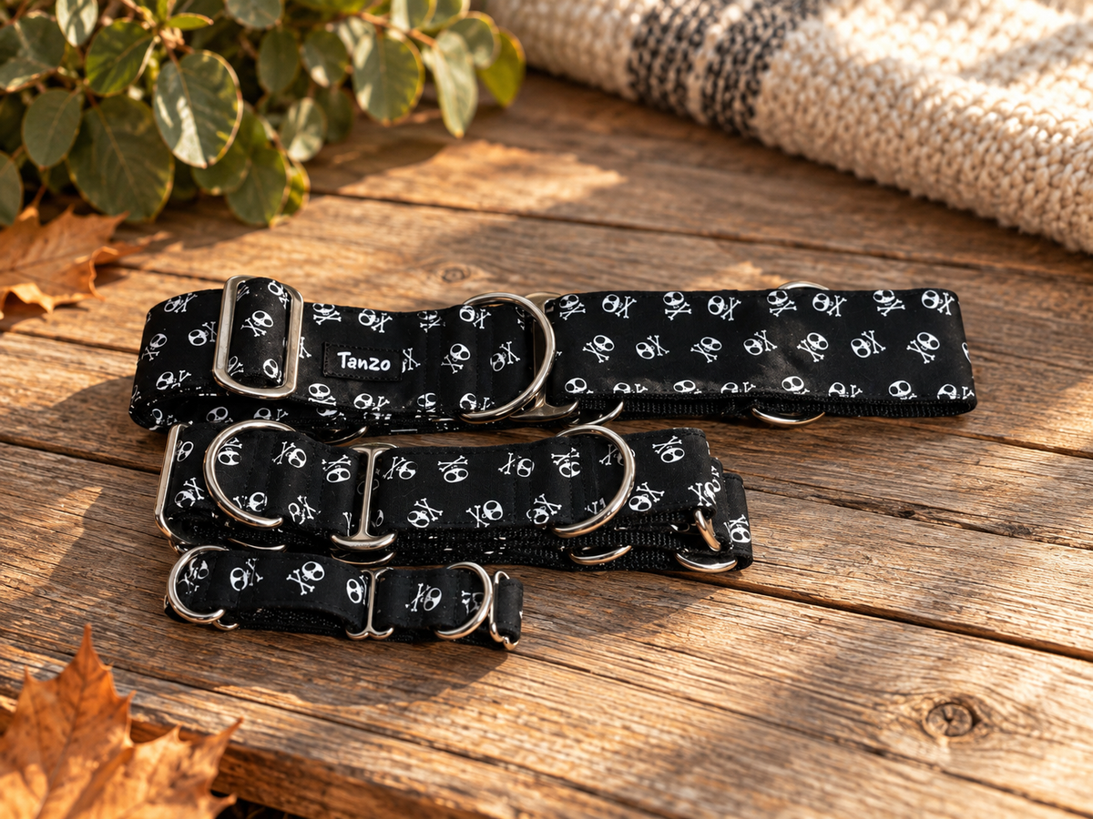 Collier martingale pour chien fait au Québec | Tête de mort