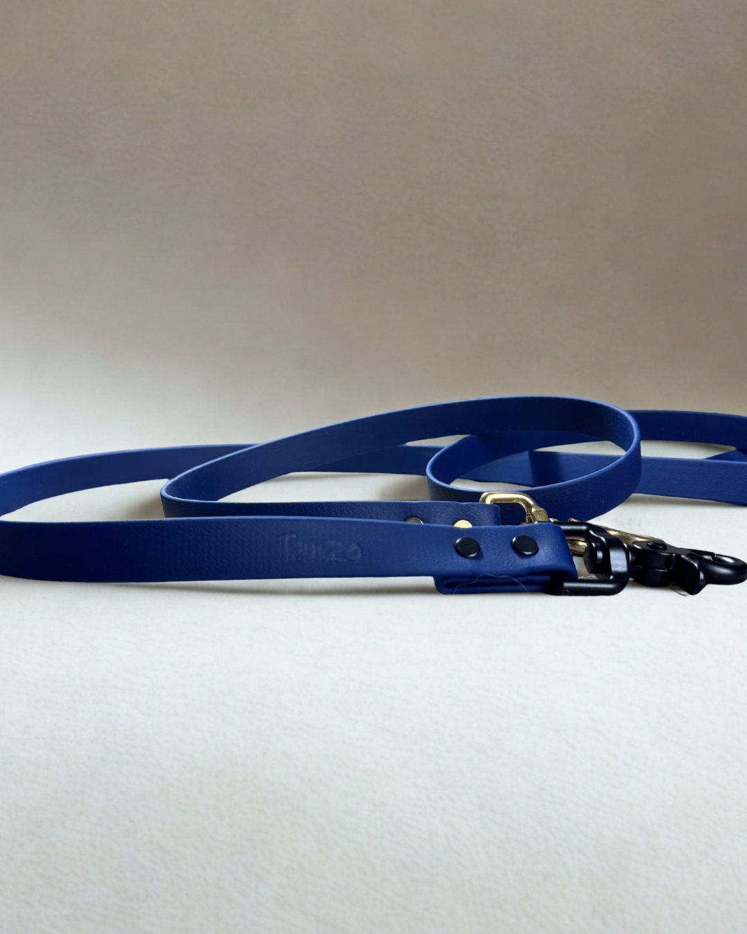 Laisse pour chien en biothane