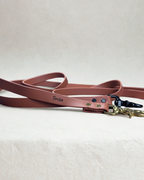 Laisse pour chien en biothane