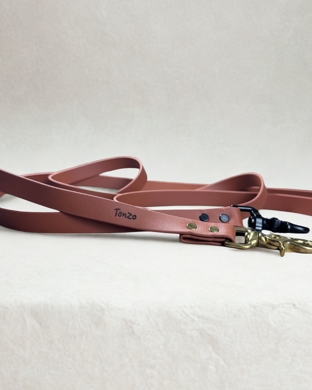 Laisse pour chien en biothane