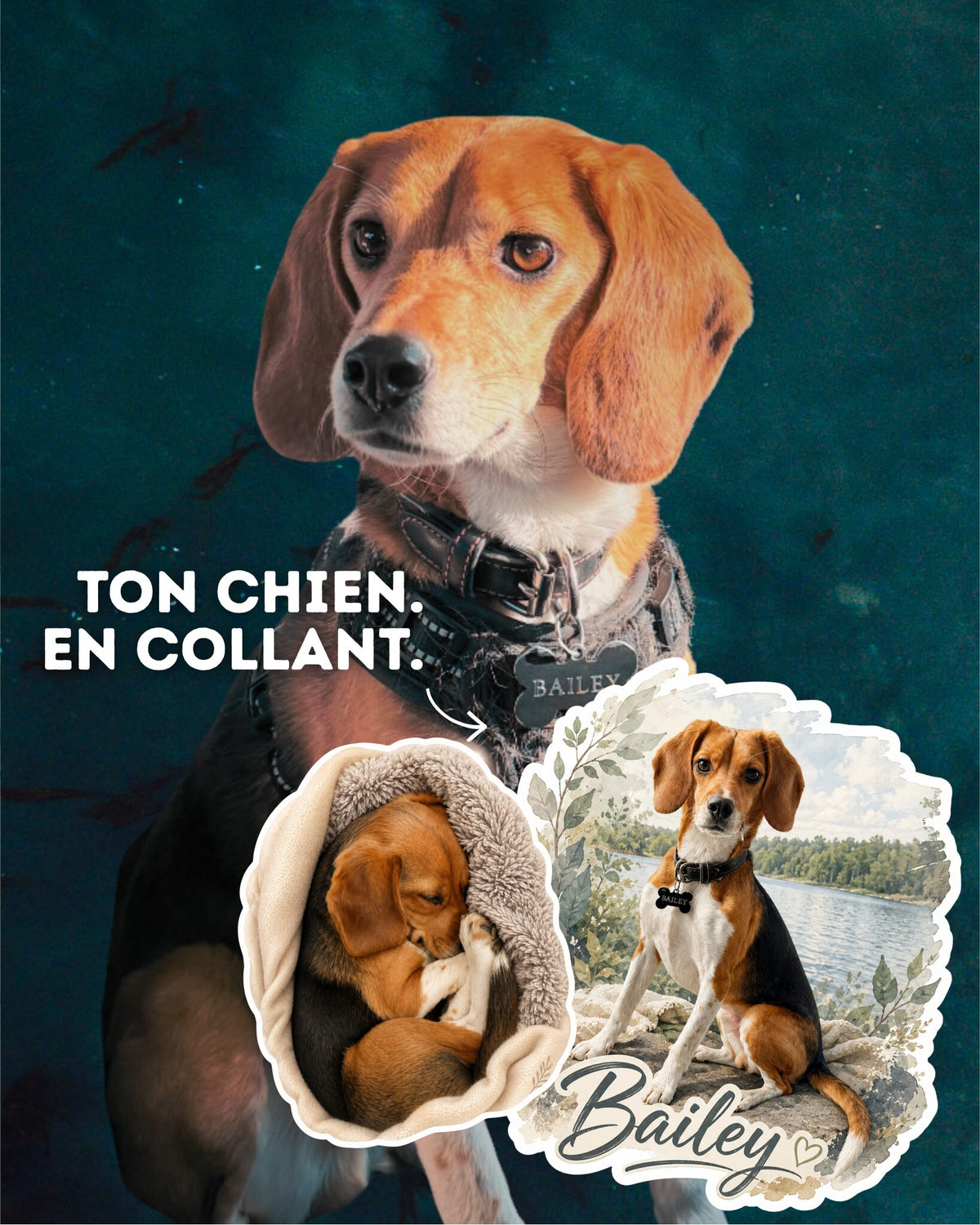 Beagle nommé Bailey et ses autocollants personnalisés à son image, faits au Québec par Créations Tanzo