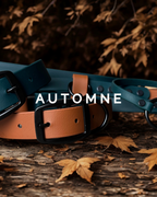 Ensemble de marche Tanzo — Édition Limitée Automne 2025