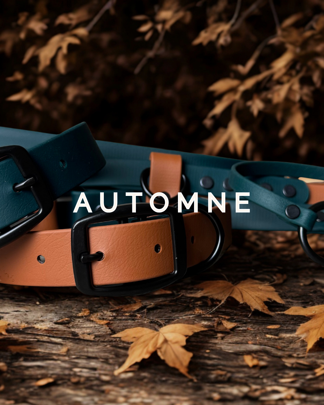 Ensemble de marche Tanzo — Édition Limitée Automne 2025