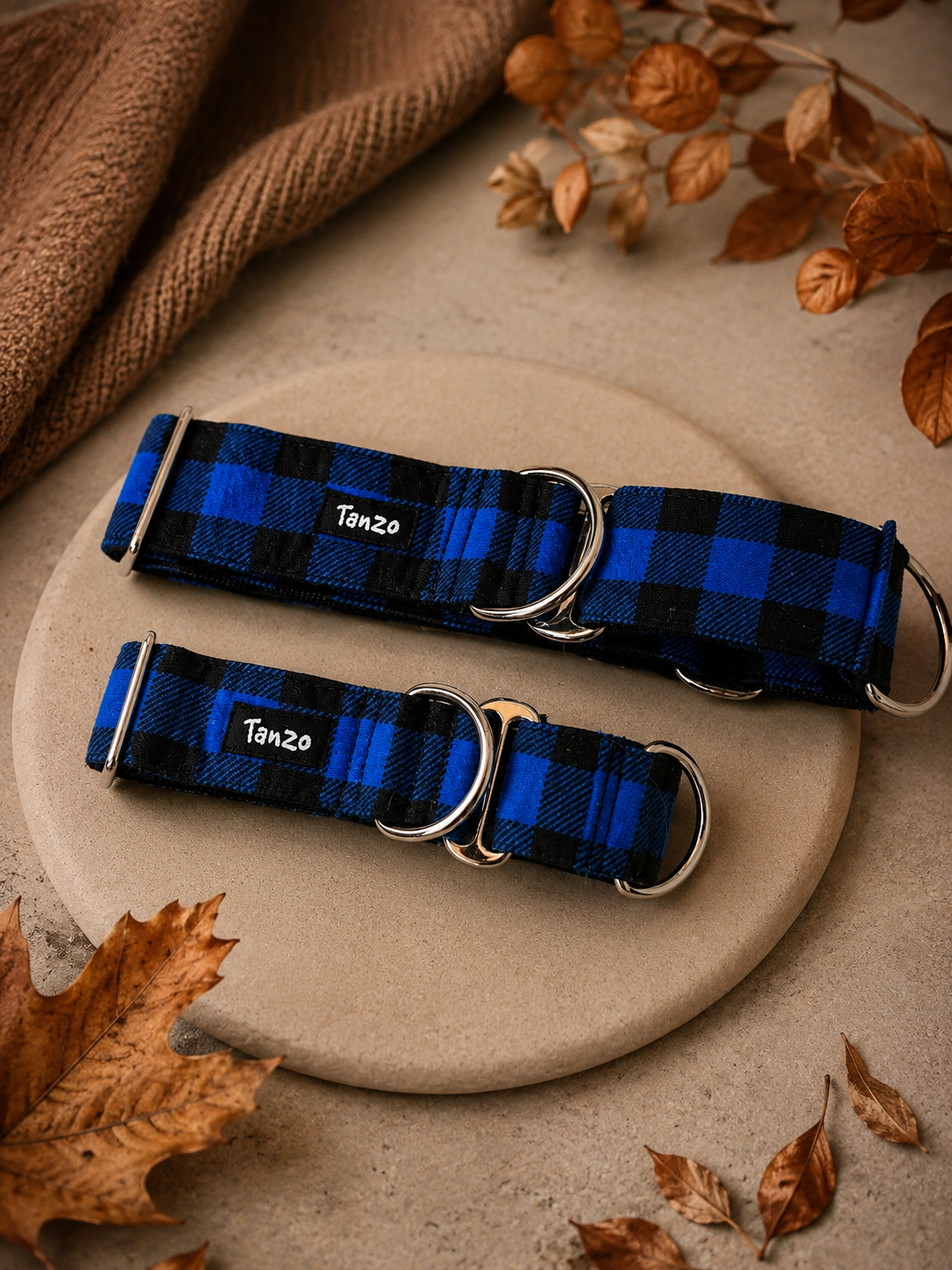 Collier martingale pour chien fait au Québec | Carreaux Bleus
