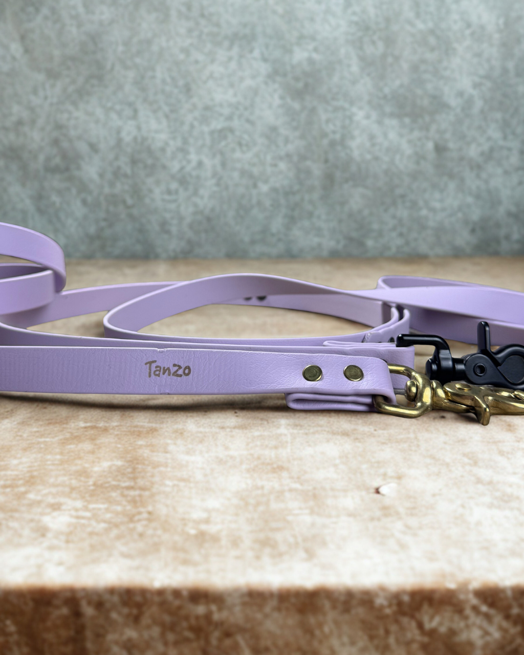 Laisse pour chien en biothane