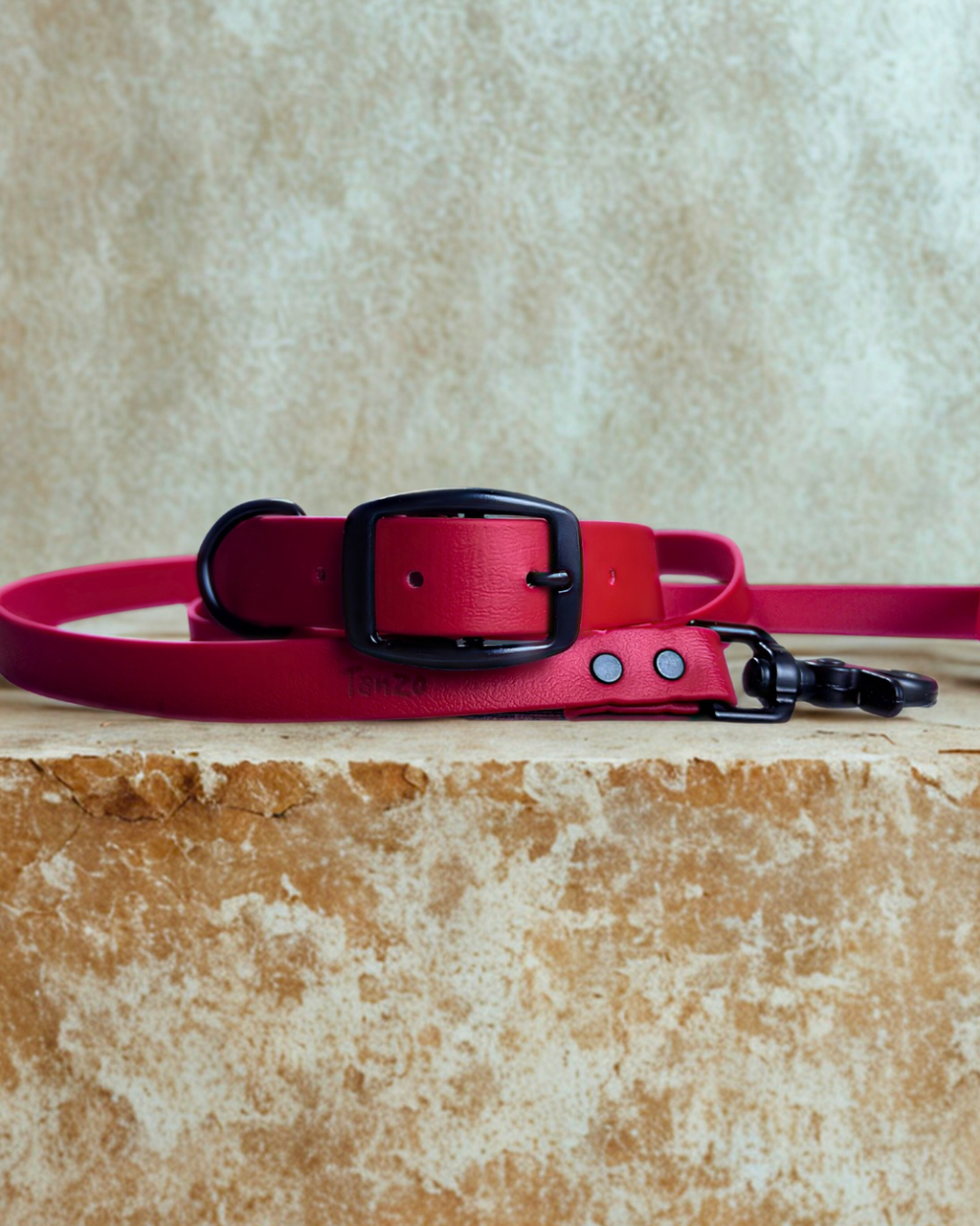 Ensemble collier et laisse