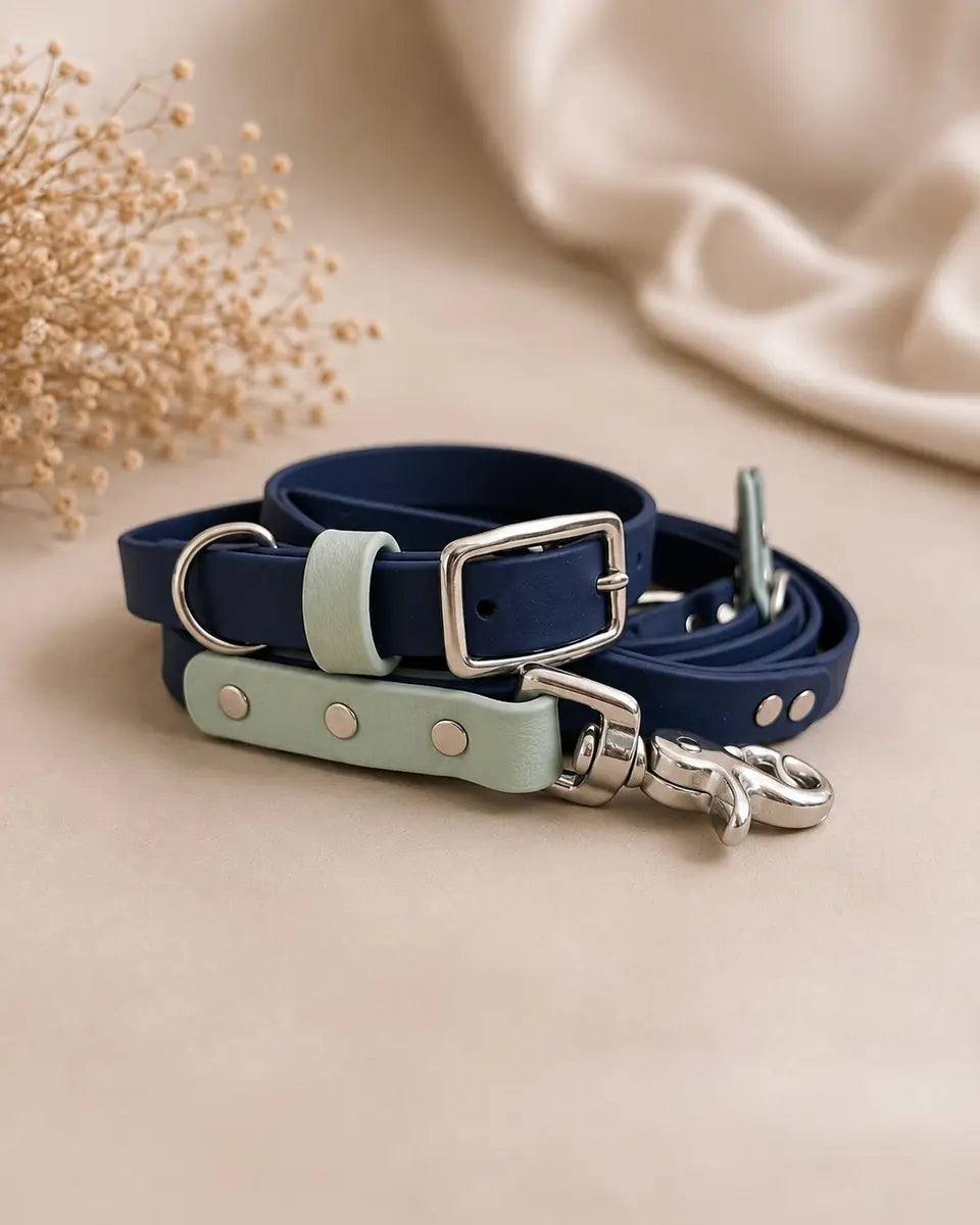Two-Tone Walking Set — Dog Collar & Leash