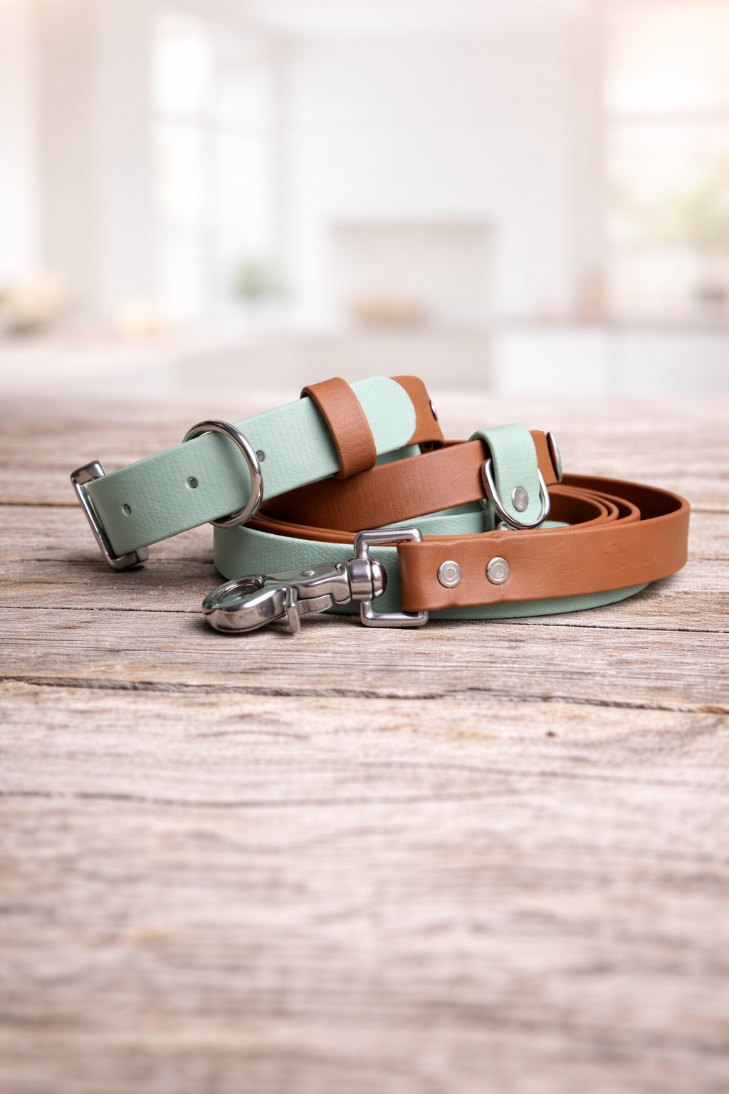 Ensemble de marche Bi-Colore - Collier et laisse pour chien