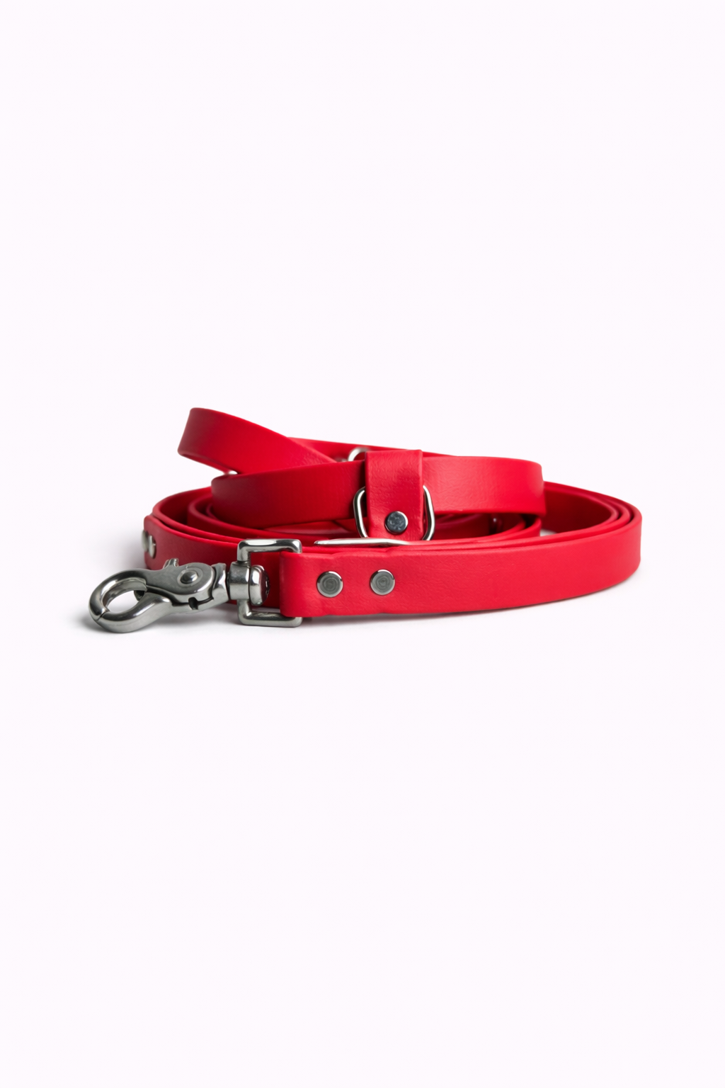 Laisse mains-libres 5 en 1