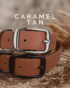 Collier chien québec caramel