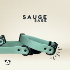Collier chien sauge