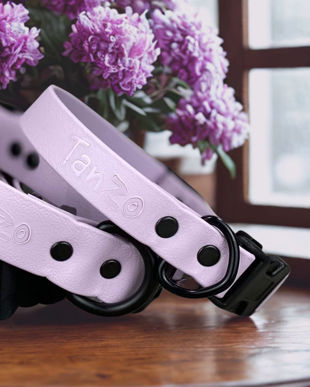 Collier pour chien québécois à clip