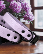 Collier pour chien québécois à clip