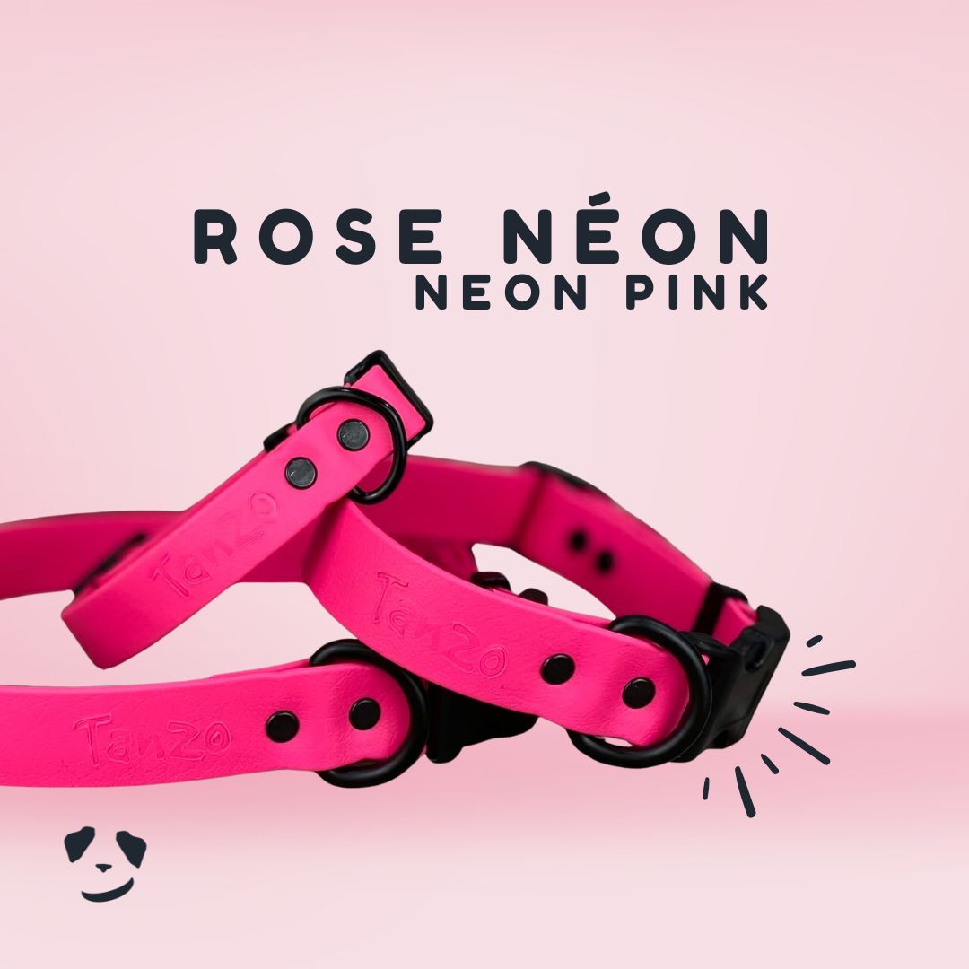 Collier pour chien rose