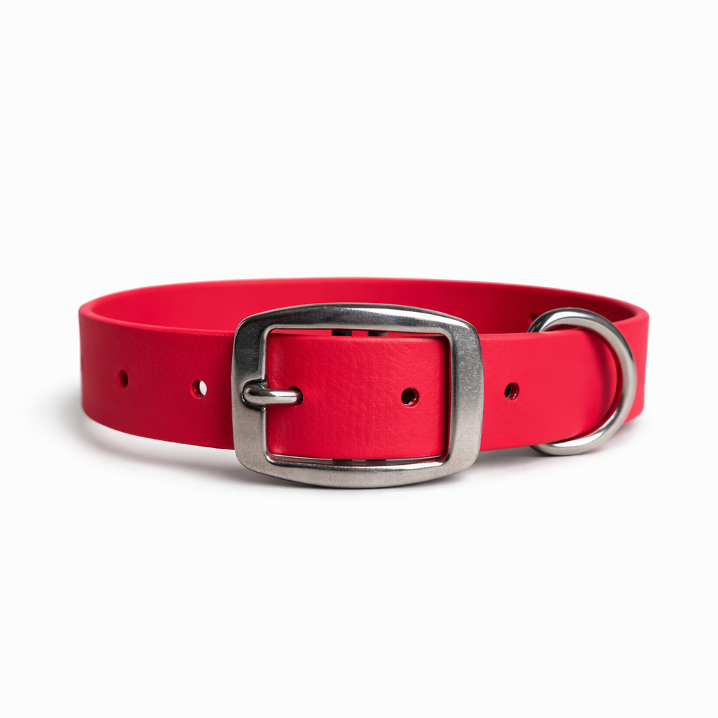 Collier robuste à Boucle Ceinture