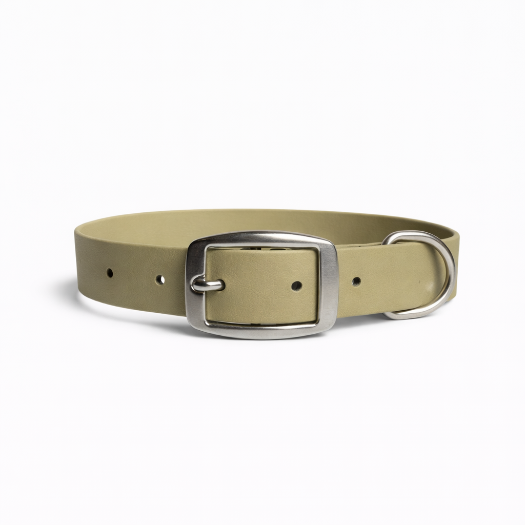 Collier robuste à Boucle Ceinture