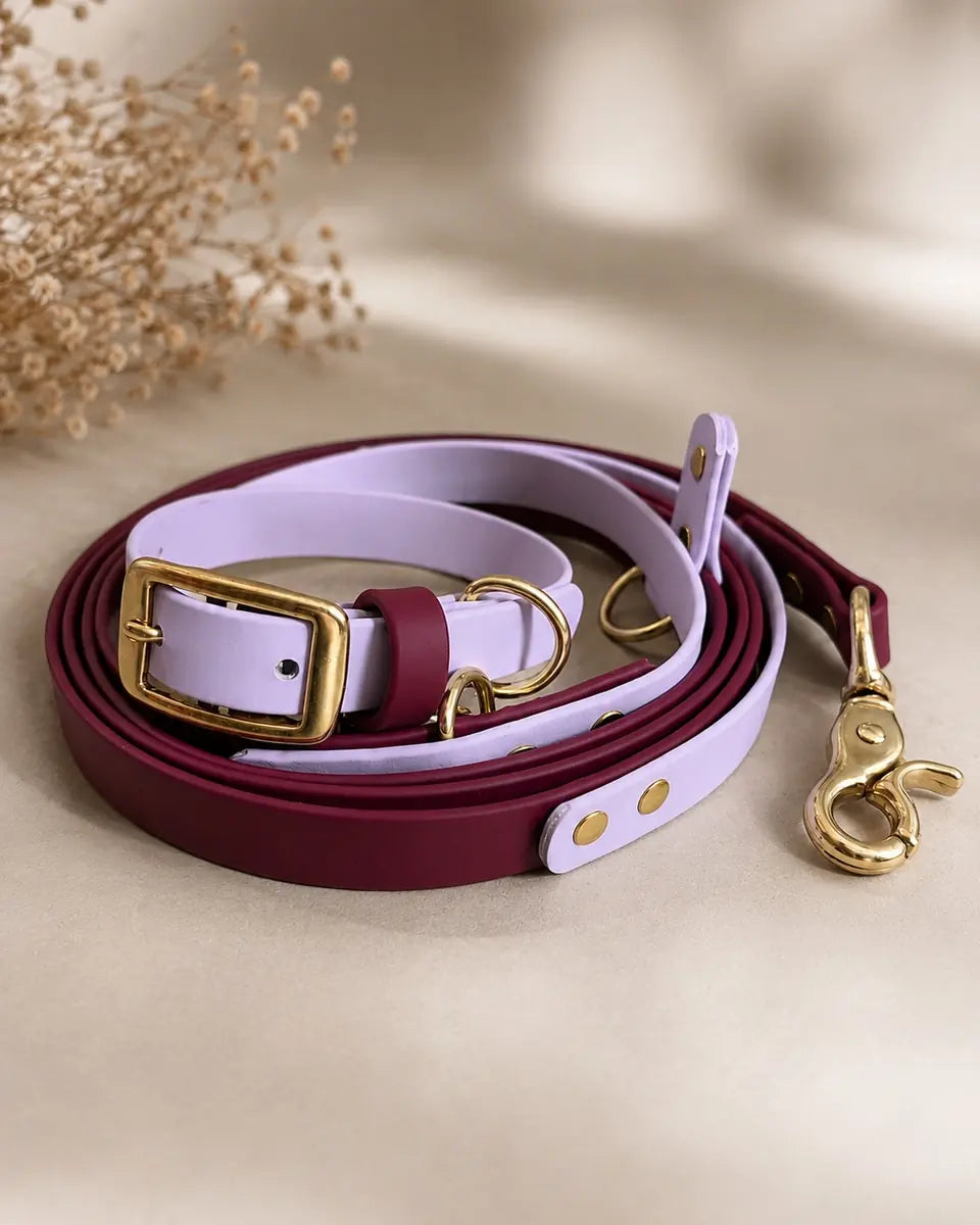 Two-Tone Walking Set — Dog Collar & Leash