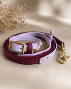 Two-Tone Walking Set — Dog Collar & Leash
