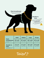 Harnais pour chien en biothane ajustable