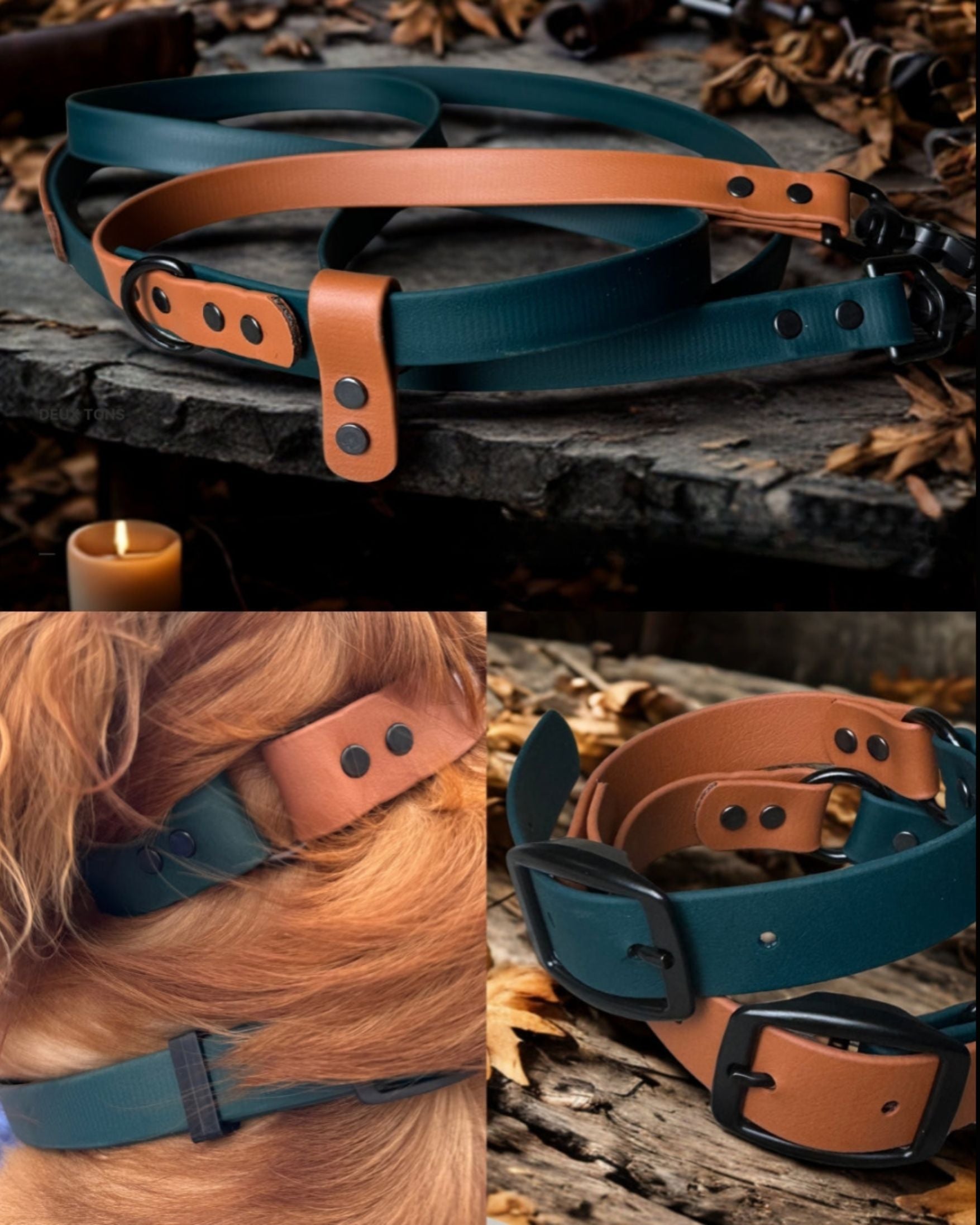 Collier et laisse pour chien vert et caramel