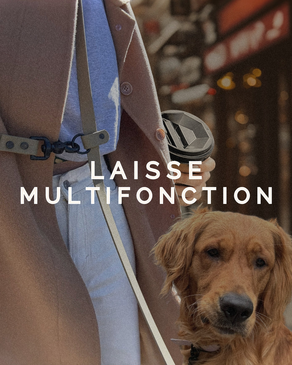 Laisse mains-libres 5 en 1